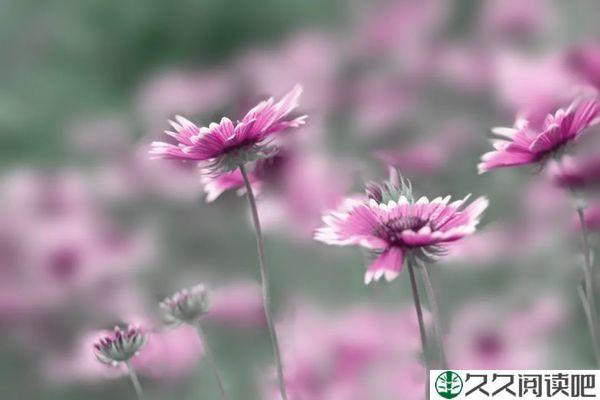 懂得做自己，比懂事更重要