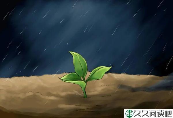风来听风，雨来赏雨