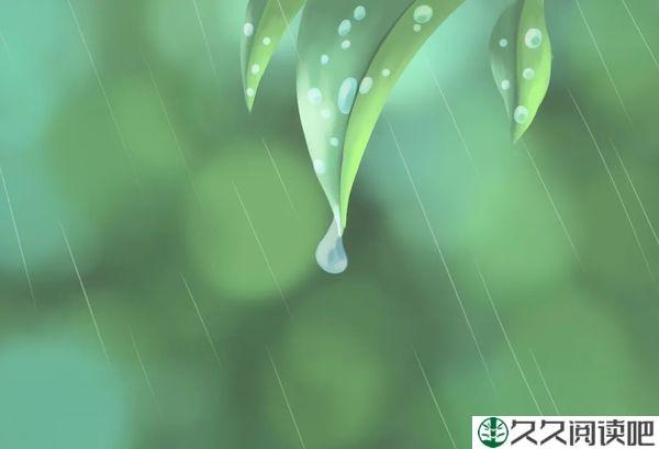 风来听风，雨来赏雨