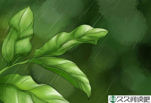 风来听风，雨来赏雨