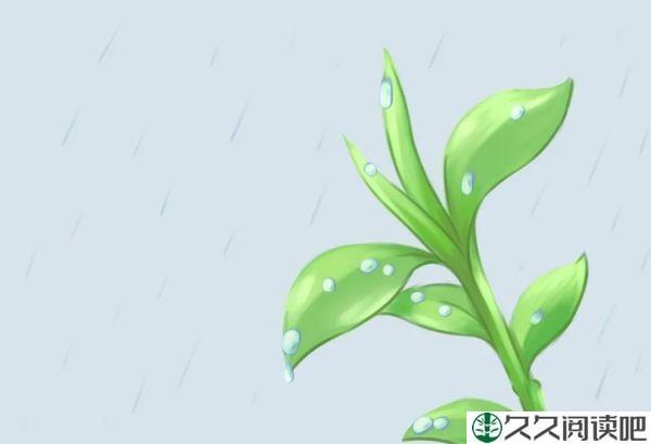 风来听风，雨来赏雨