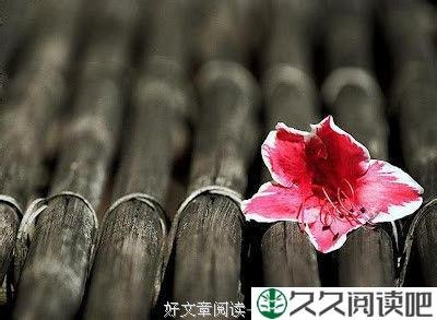 成熟的境界