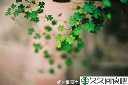 简单到极致，便是大智