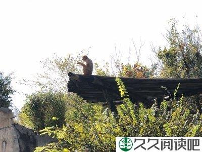 寓教于乐，“玩”转课堂