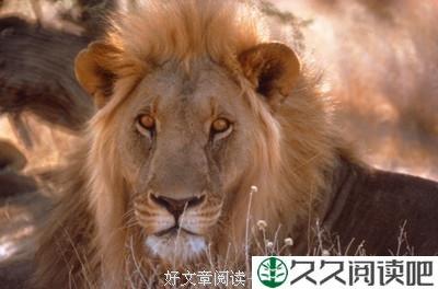 每一个障碍，都是一个超越自我的契机