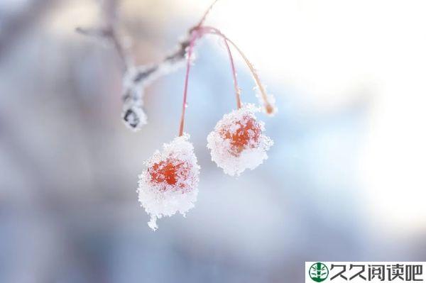 总有思念，温暖这个冬天