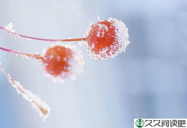 总有思念，温暖这个冬天