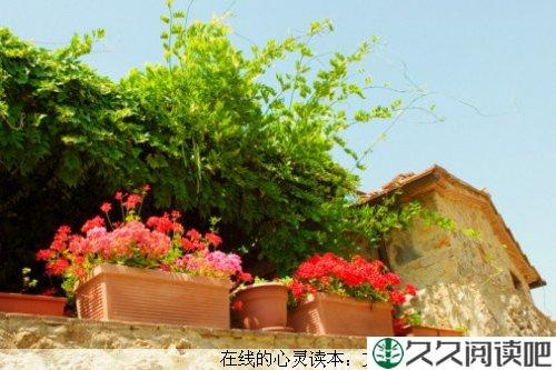 空中的有缘人
