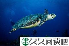女人的极致，不是成为一个妖精，而是...