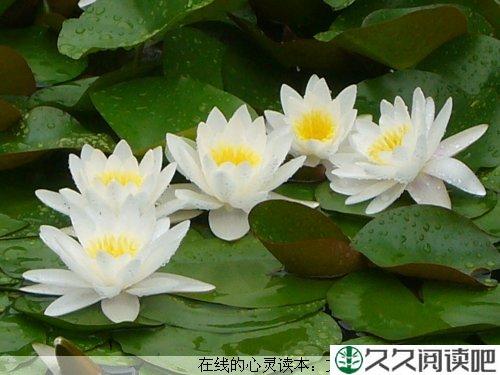 严以律己，宽容待人