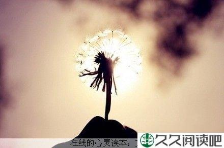 过好现在，随缘而为