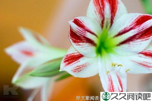 走走停停停停走走