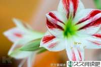 走走停停停停走走