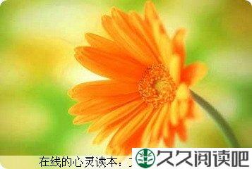 培养成功心态