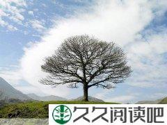 静静的体会人生