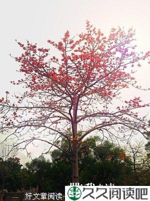 迷惘的人生