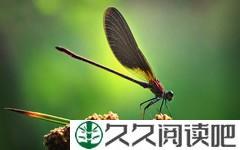 心情日记