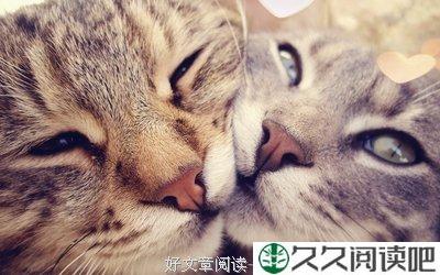 痛苦不专属于一个人