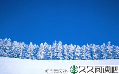 怎样的纯洁