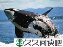 自然，我们的朋友
