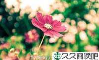 皮鞋的来历