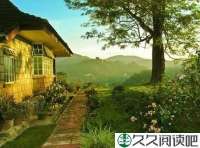 一只麻雀的故事