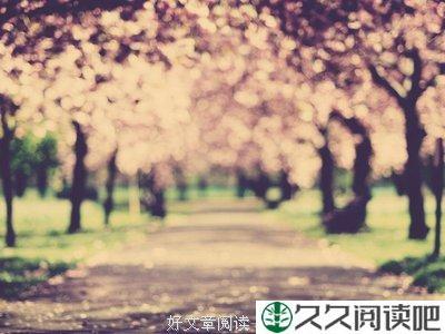 陌上花开