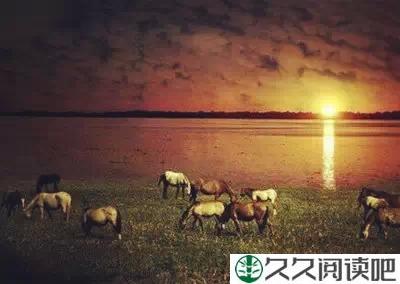 原谅（让心减负！）