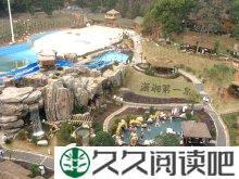 情动的世界