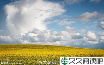 春天里