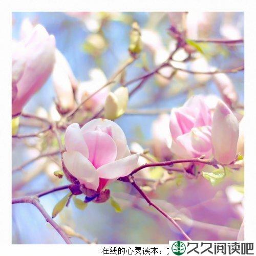 发现生活之美