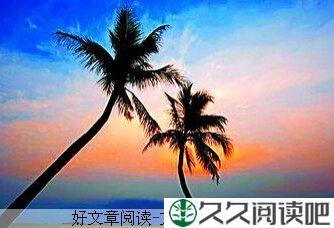 哦，你是我的父亲