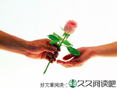 情人节的玫瑰
