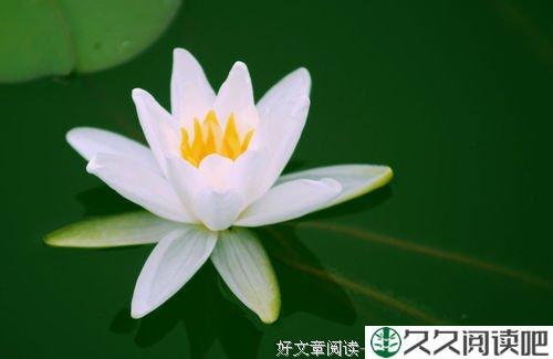 没有哪个错误，会决定你的一生