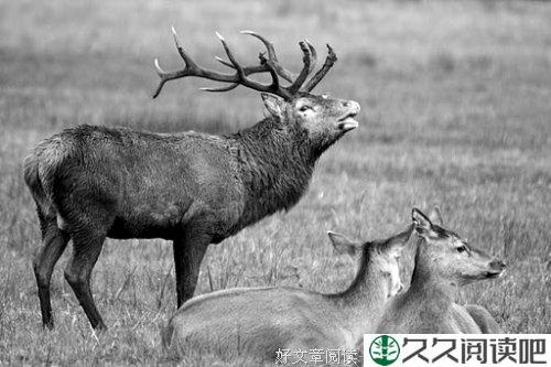 沉默是金