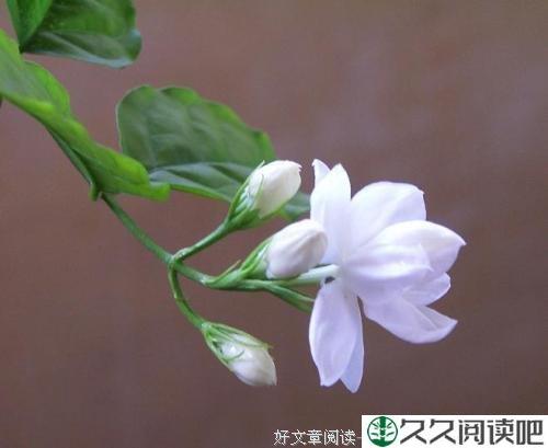 请给自己开一剂笑方