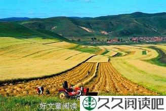 一个的故事