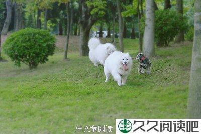 快乐是如何逃跑的