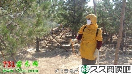 托尔斯泰的镜子