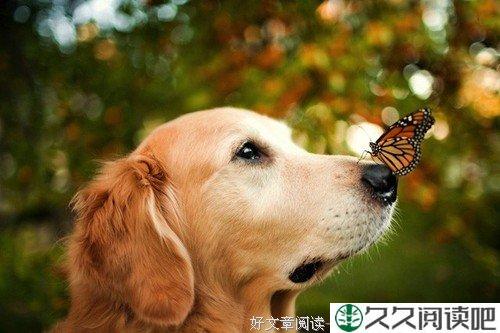 不要等到有车才奔跑