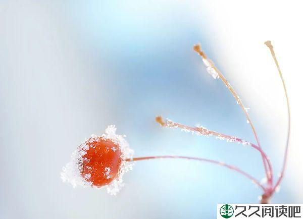 执笔问安，落雪为念