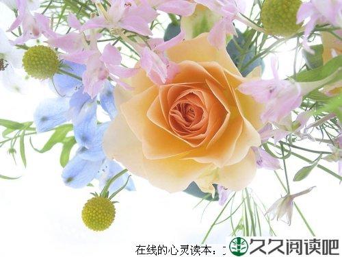 学会选择，懂得放弃