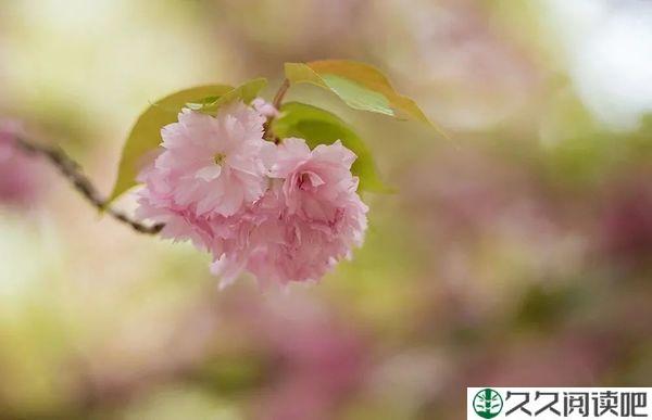 你有多简单，就有多幸福