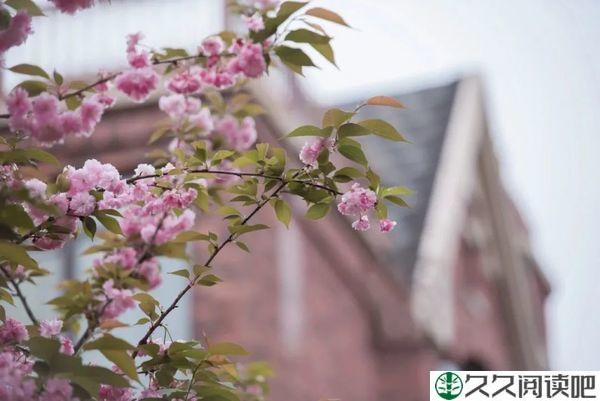 你有多简单，就有多幸福