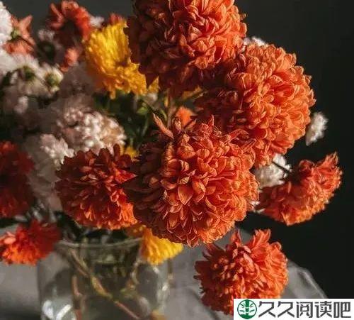 一生，别等！（深刻）