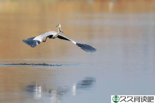 品味孤独（深度好文）