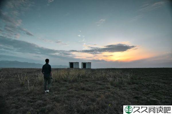《荒原狼》：所有孤独的人，都能从它身上找到自己的影子