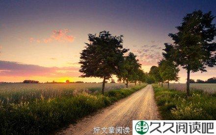 男孩与死驴的故事