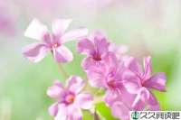 放下，就是幸福