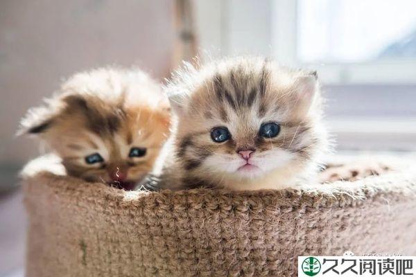 2022社会语录（忍住不许笑）